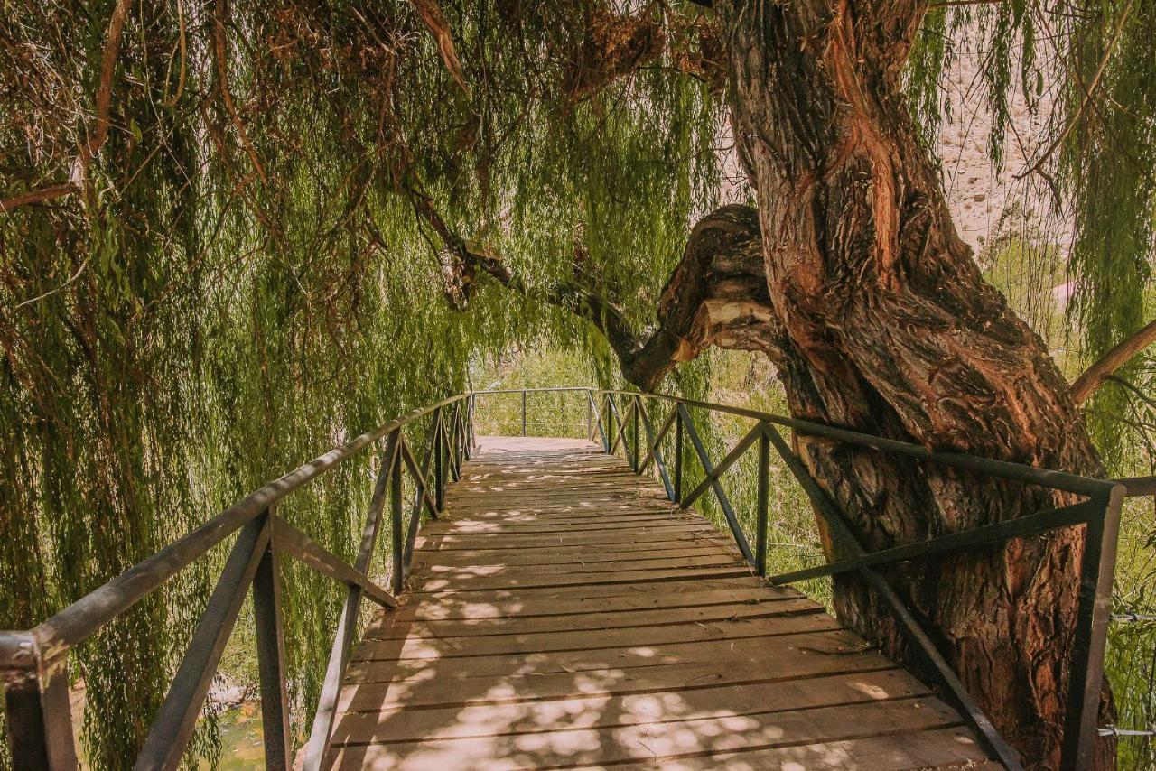 Hotel Vivelo Elqui Landscape Horcón Zewnętrze zdjęcie